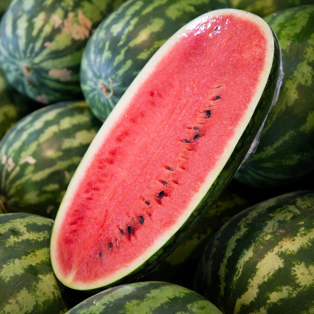 12 CONGO Watermelon Seeds - Large ------ NON GMO - HEIRLOOM - FRESH