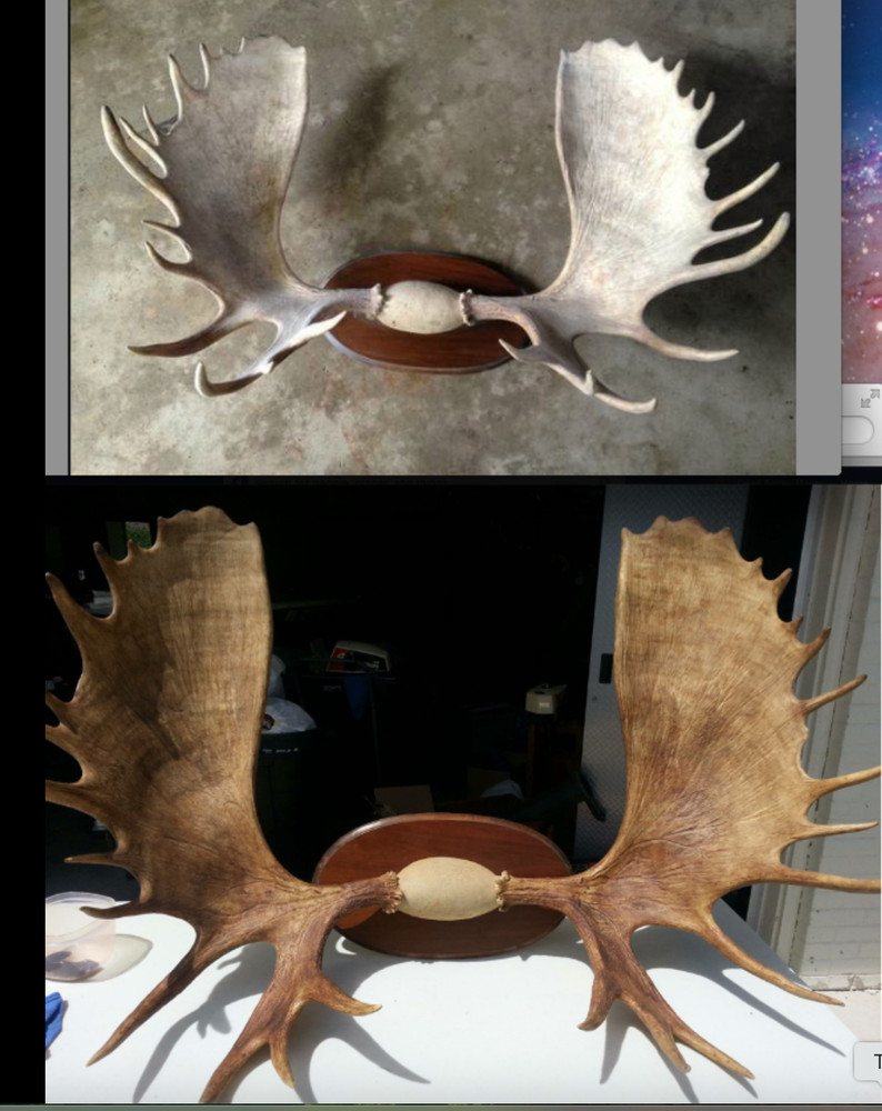 Deer Antler Magic antler coloring system 1 pound