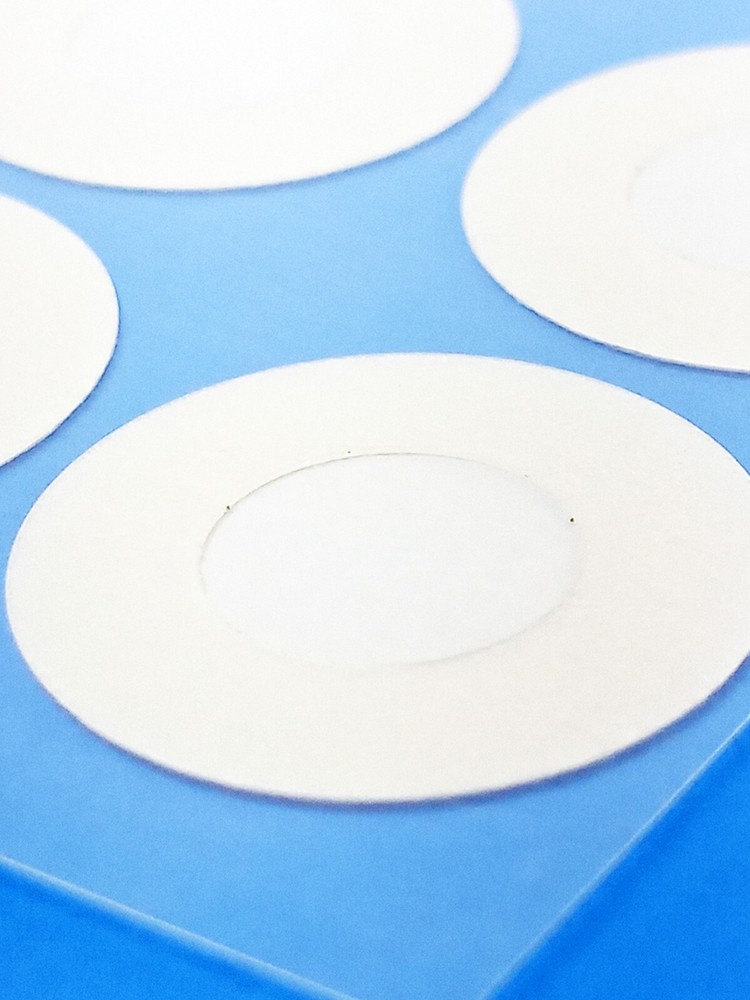 Mushroom Grain Spawn DIY Jar Lid Kit - 6 pack