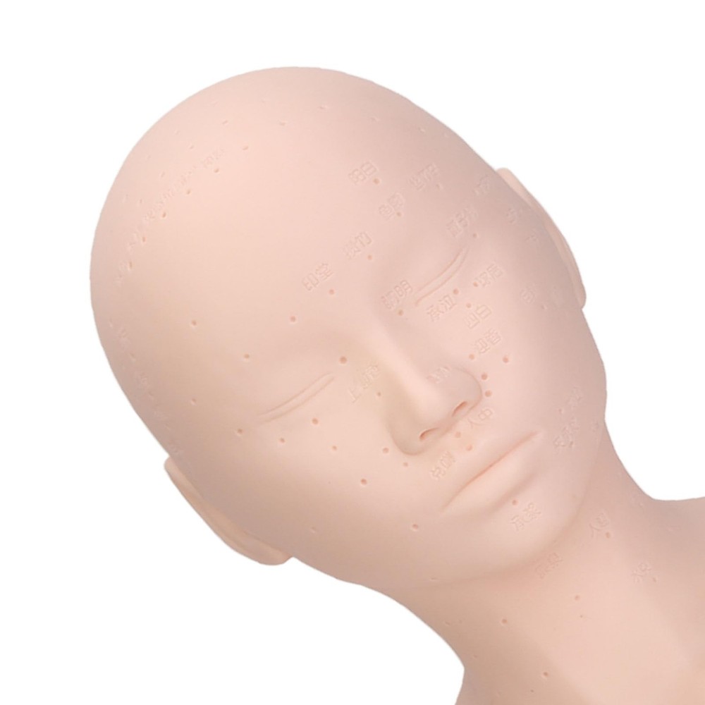 Head with Shoulders, Acupuncture Points, Soft PVC, Wig Stand