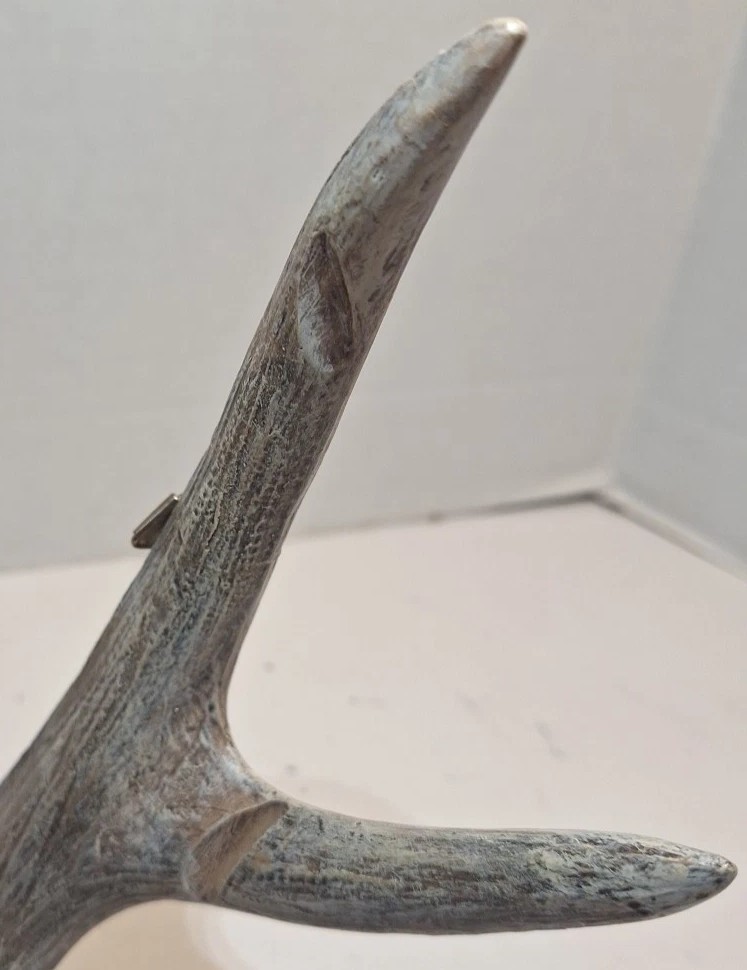 6 Point Deer Antler Wall Mount Antler Decor