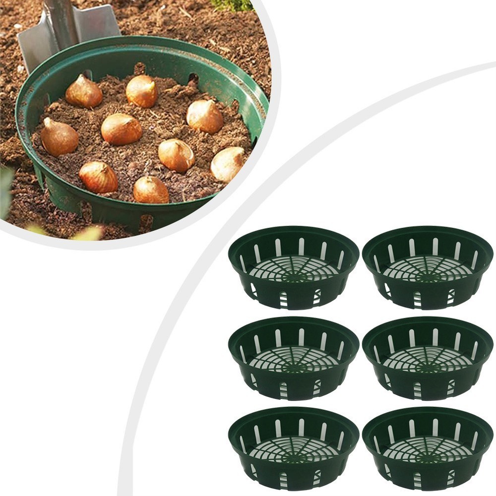 Practical 6pcs Green Plant Baskets for Various For Flower Bulb Projects