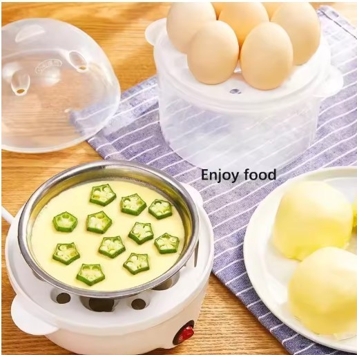 Mini Stream Egg Multifunctional Electric cooker