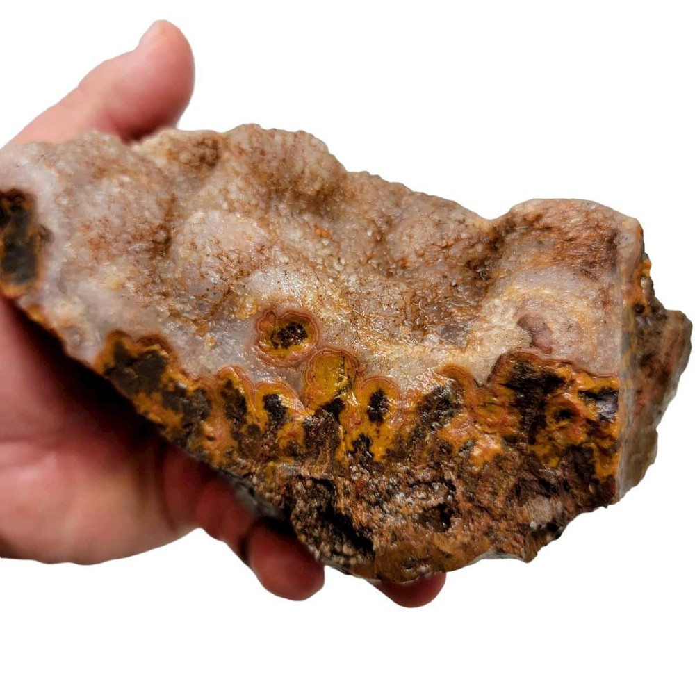 Moroccan Plume Agate Rough Chunk!
