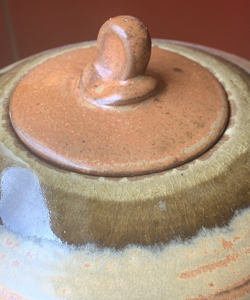 gourmet stoneware tea pot new condition 7x10”