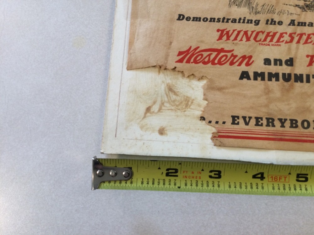 Winchester The Topperweins Flyer