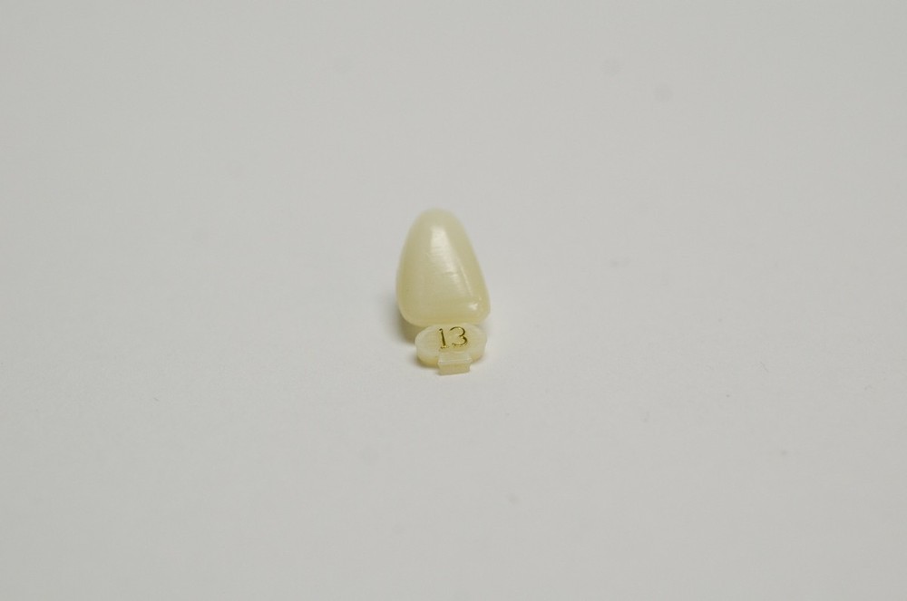 DENTAL POLYCARBONATE TEMPORARY CROWNS #13 (URC) UPPER RIGHT CENTRAL 5/PACK