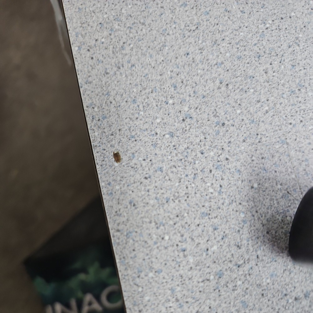 Leather Cleaner bottle-30 ml