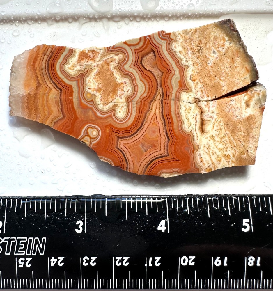 Dryhead Agate Slab, 43 grams, Cabbing/Lapidary