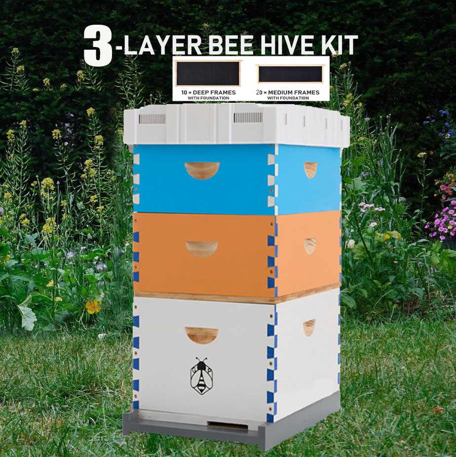 Beehive Langstroth 30 Wooden Frame Box Kit With Painting Boxes, 2 Deep 2 Medium