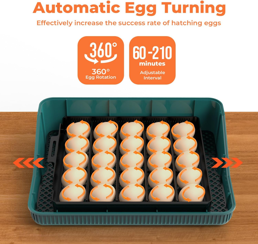 Automatic Egg Incubator for Hatching Eggs: Egg Incubator with Automatic Egg Turn
