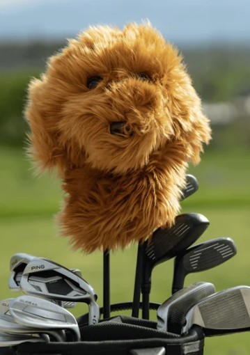 Daphne's Authentic Doodle Dog Driver Headcover
