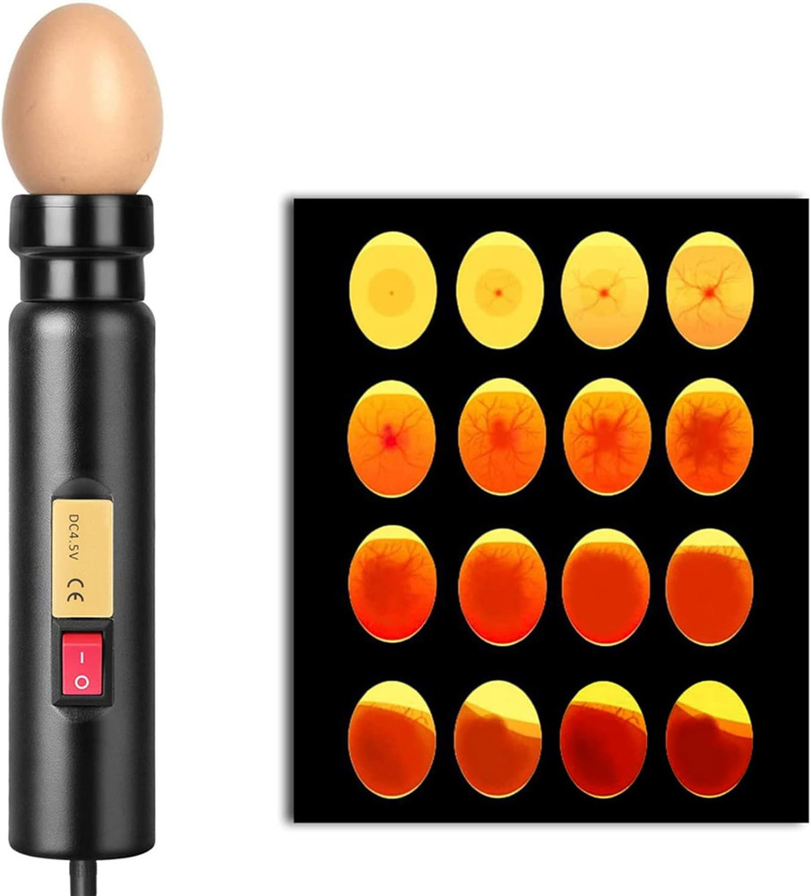 Egg Candler, LED Egg Hatching Test Light, High Intensity LED Chicken Egg Candler