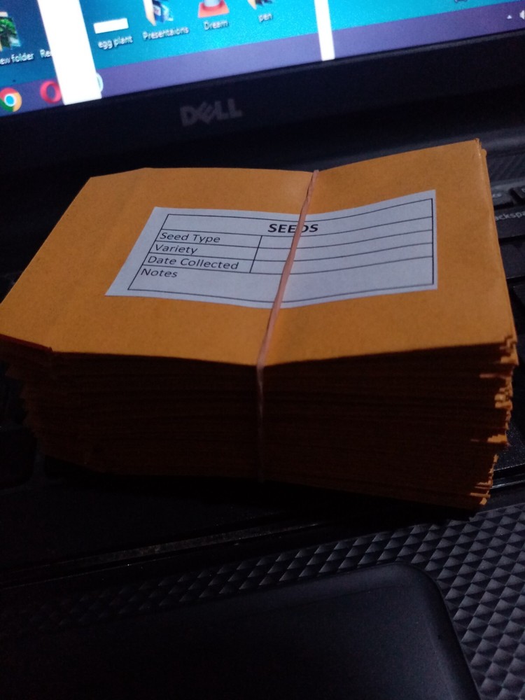 50Pcs Seed Saving Envelopes, Bulk 2.5x3 Empty 80gsm Packets Seeds container pack