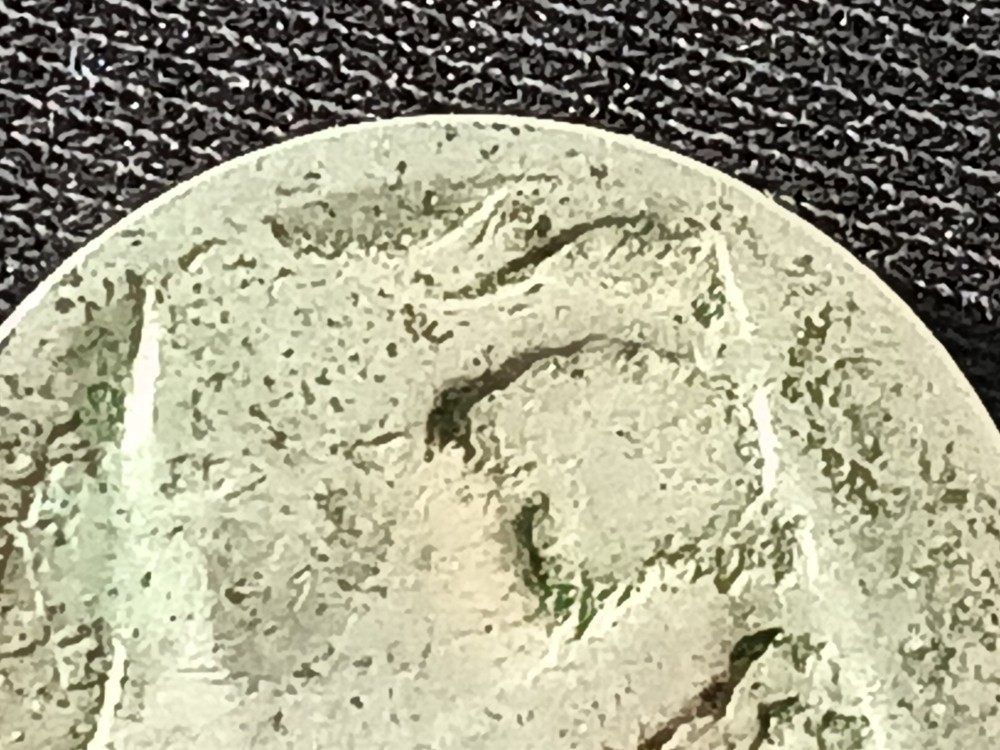 Undated Indian Head Buffalo Nickle