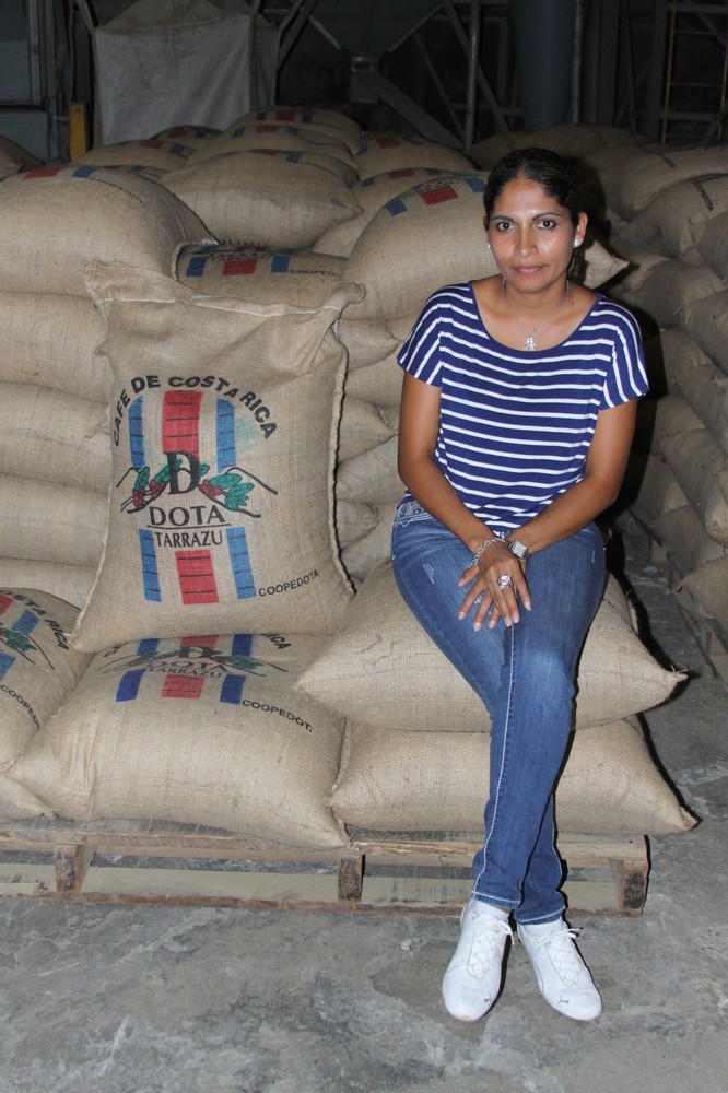 Mocha Java Coffee Beans Roasted Medium & Dark Mixed 2 Bags 1 Pound Each.