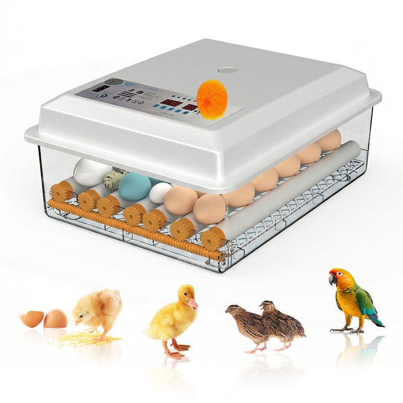 36 Eggs Incubator Chicken Incubators for Hatching Quail Automatic Egg Turning
