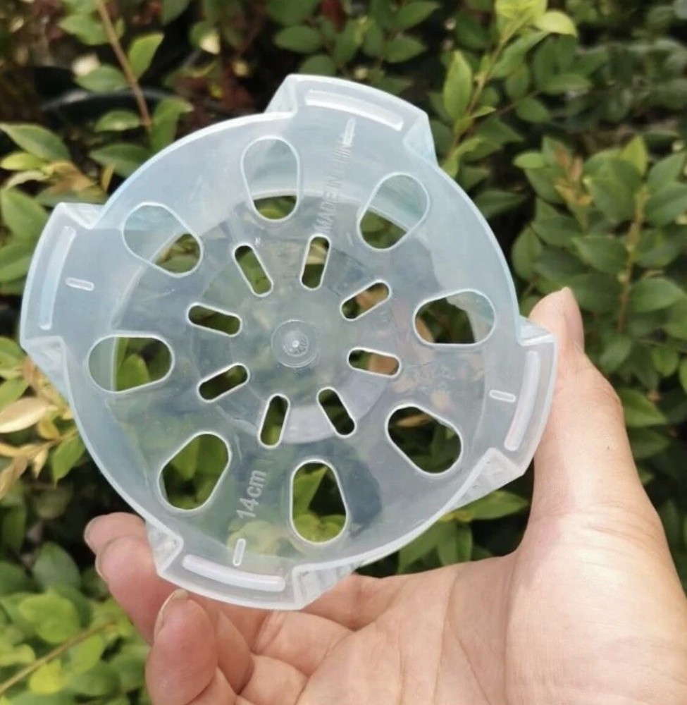 3 - 6” Clear Plastic Planters Tall