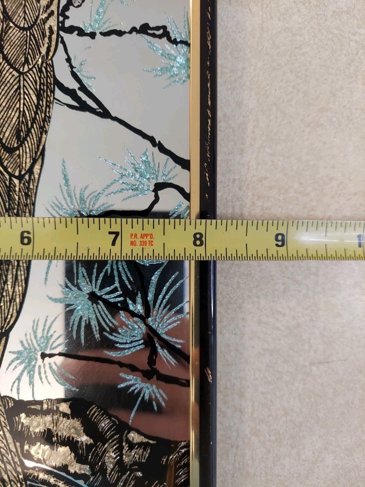 Vintage Glittery Eagle Mountains Mirror Plastic 20"x8"