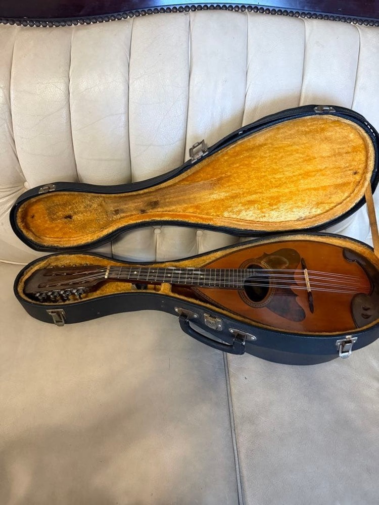 78: Mandolin Spruce body 8 strings