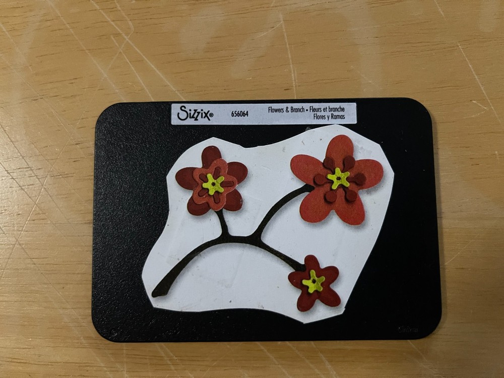 12) Sizzix Cut and Emboss folders, Stencil