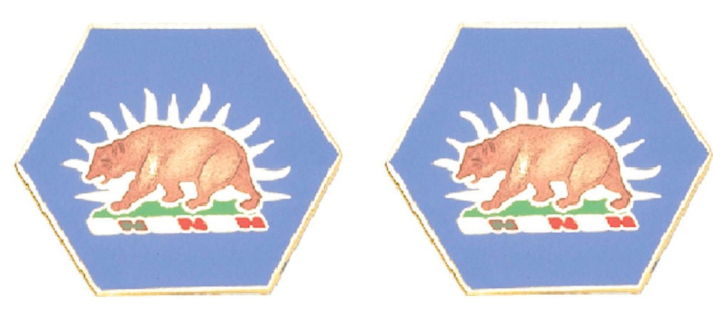 CALIFORNIA STARC Distinctive Unit Insignia - Pair