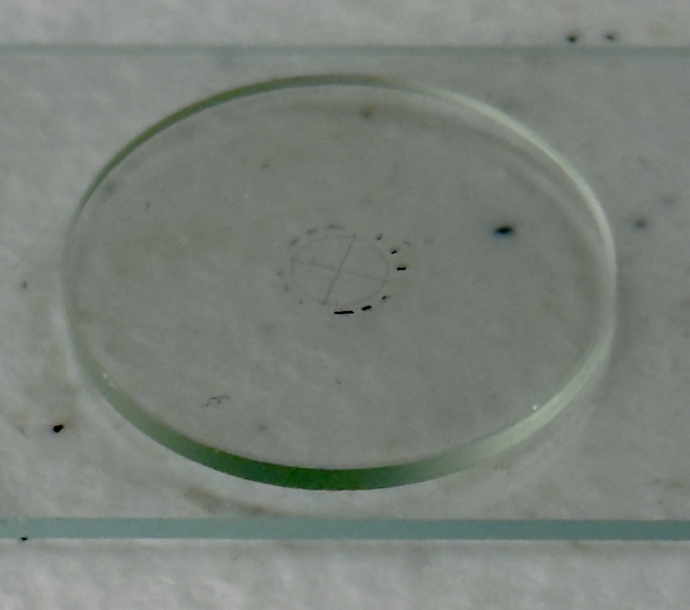 Walton Beckett 21mm Measuring Microscope Reticule