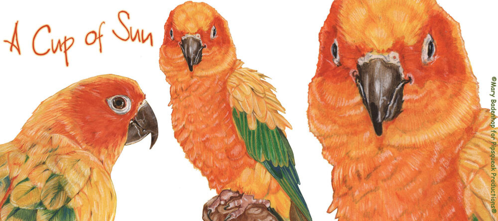 Sun Conure Parrot Ceramic Coffee Mug Tea Cup 15 oz
