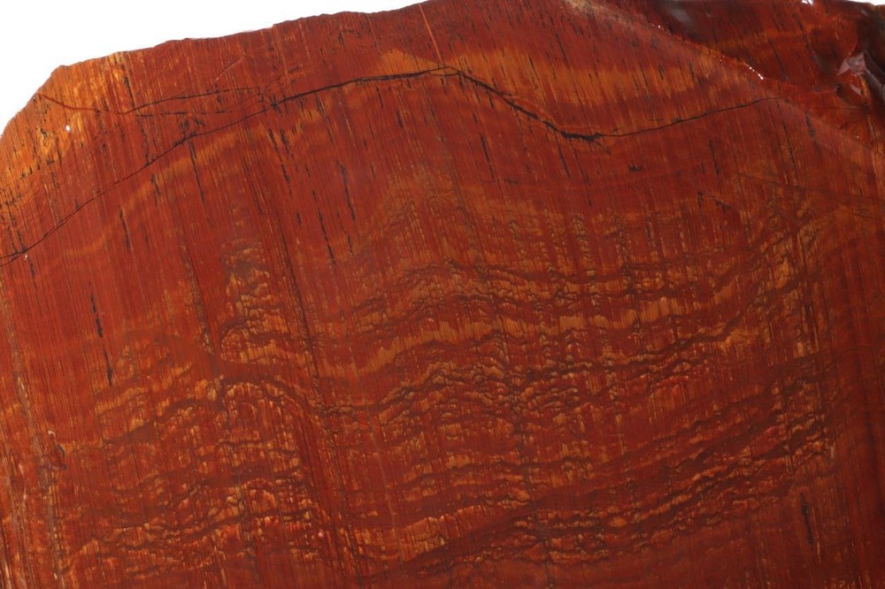 Biggs Scenic type Jasper lapidary 5 lb 10 oz end cut rough