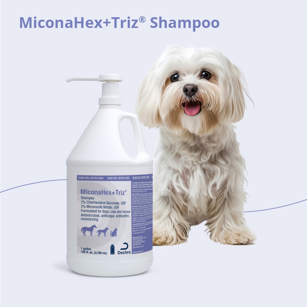 MiconaHex+Triz Shampoo 013DP-73015