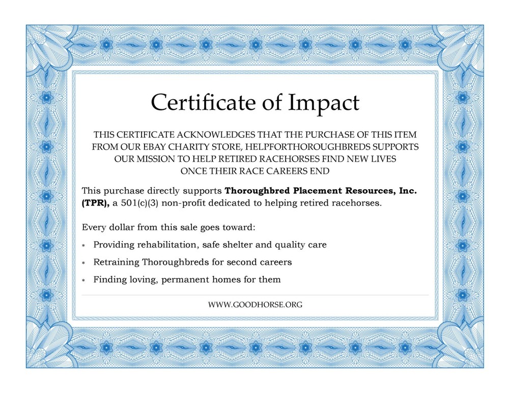 Pixio Robo Camera Base w/ Smartphone App Support – Powers On, See Description