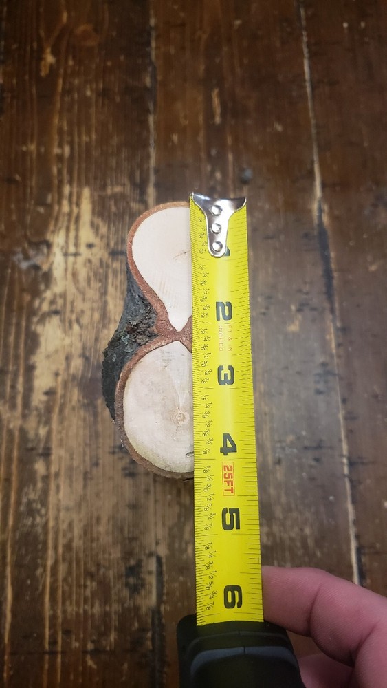 MAPLE Turning Crotch Log 10" Long M4319