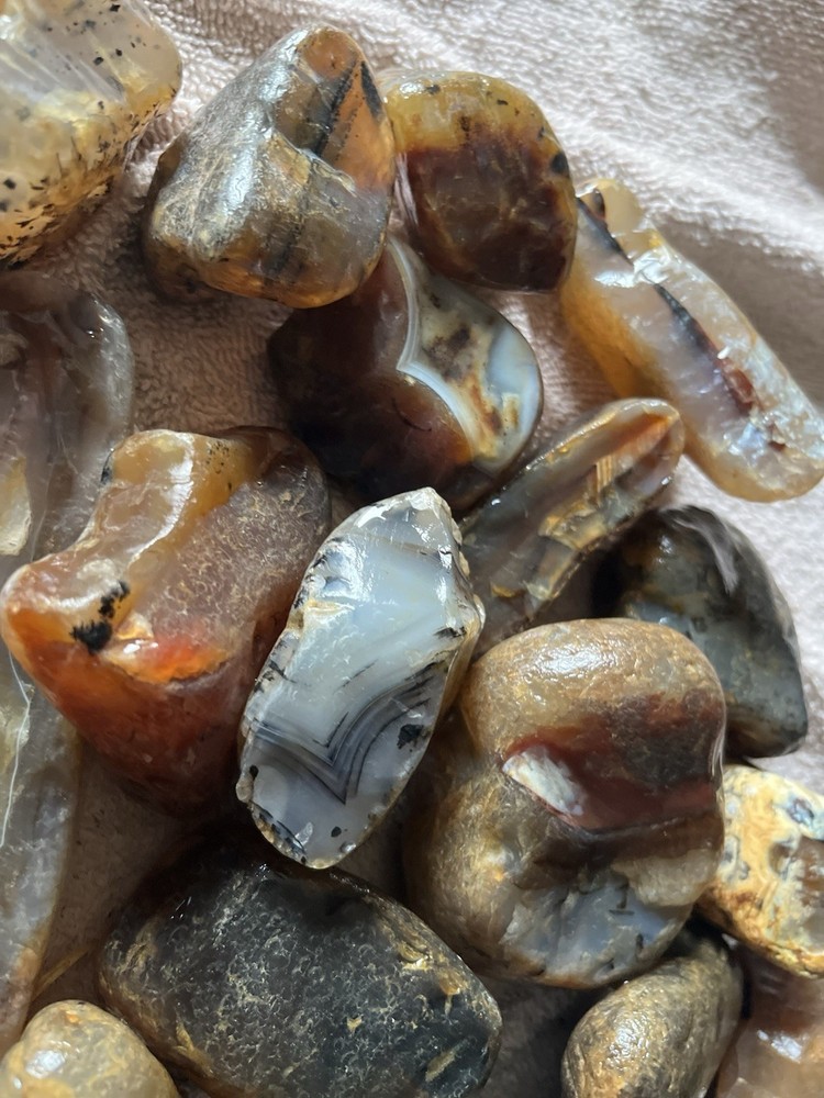 10 Lbs Rough Montana Agate (49)