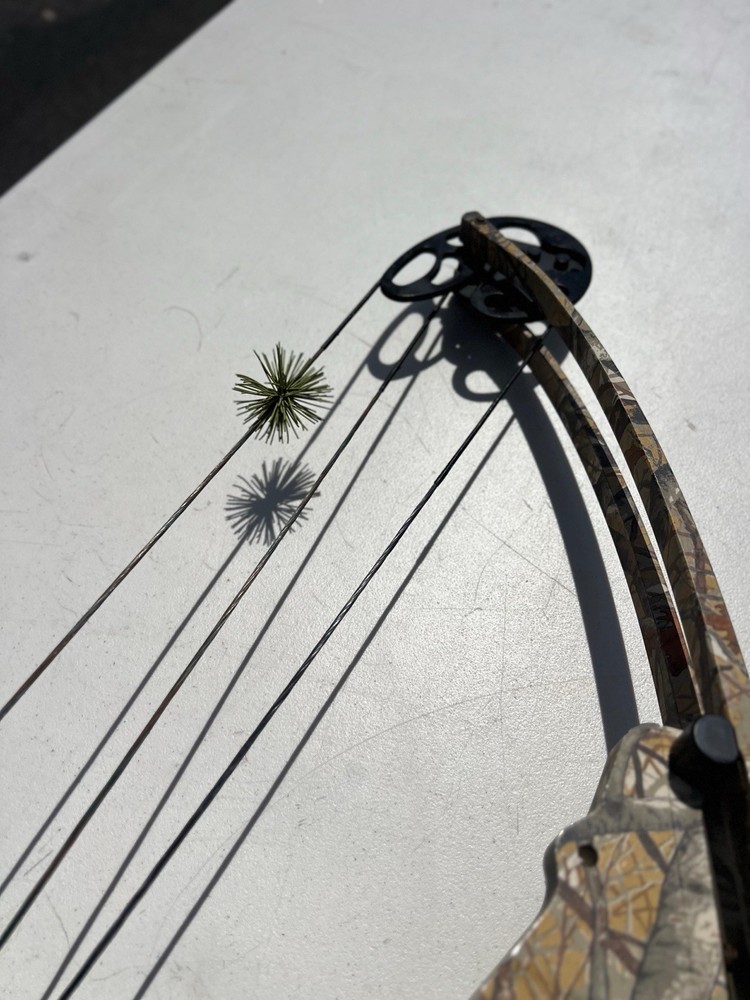 vintage compound bow “browing”