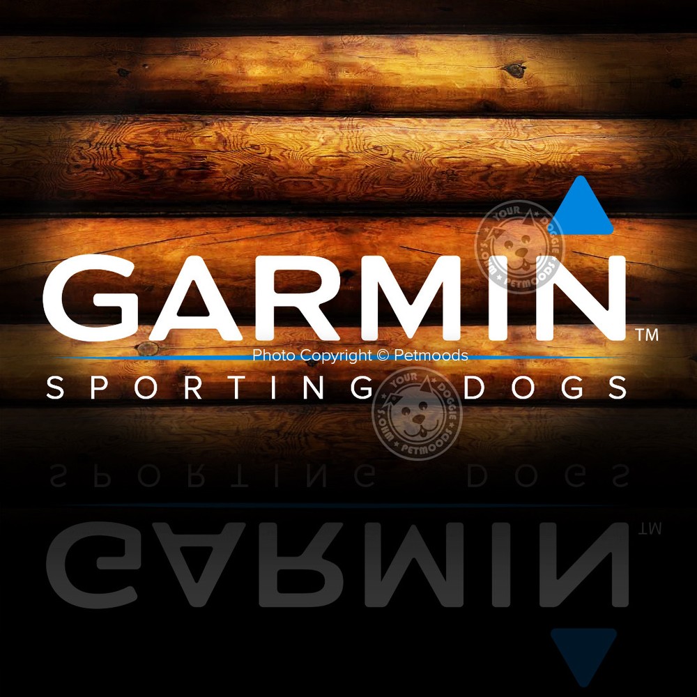 GVDS Explosion Proof Garmin Alpha 100 Screen Protector Handheld Tempered Glass