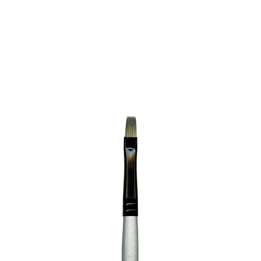 Dynasty Black Silver Brush Bright Size 6