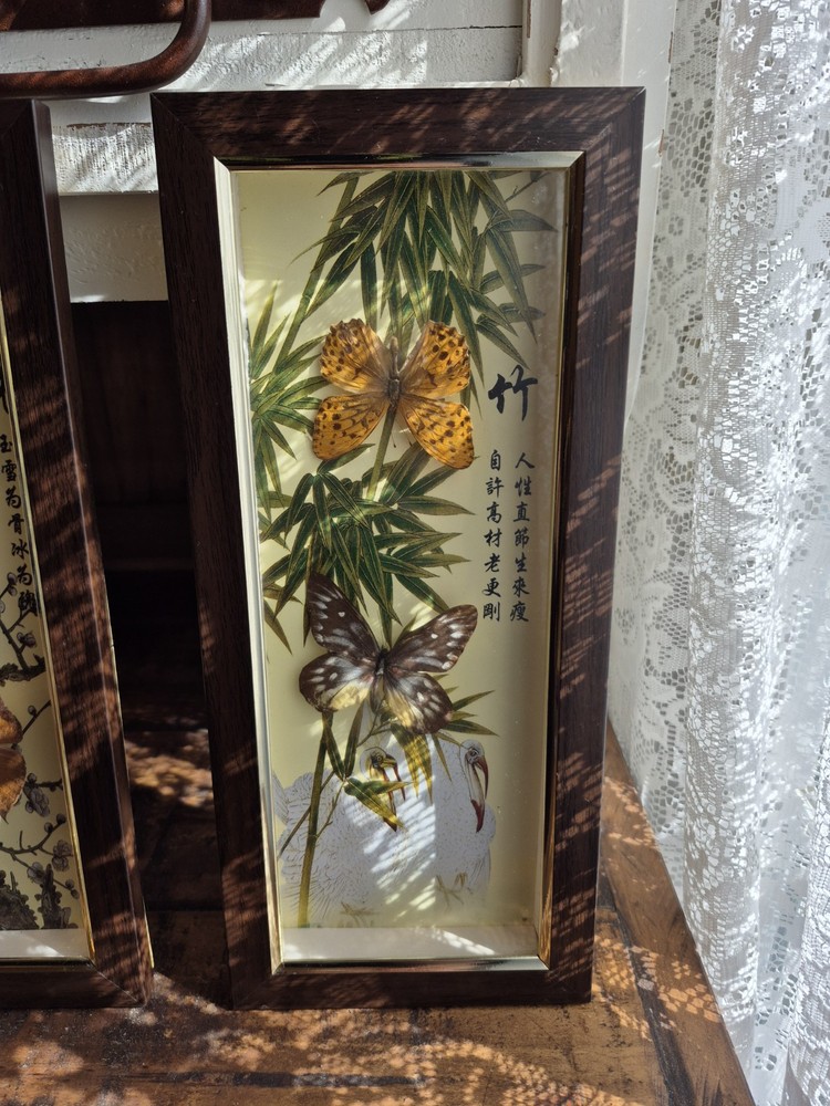 3 Real Framed Butterflies