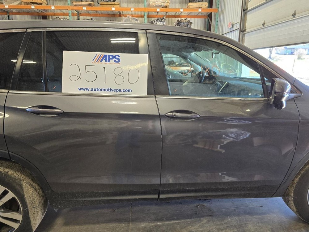 PILOT 2017 Jack 1552265