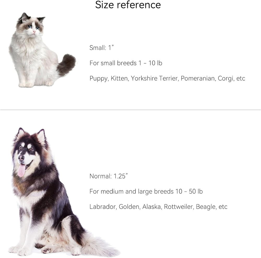 QR Code Cat Tag, Modifiable Profile, Scannable, 1.25", White