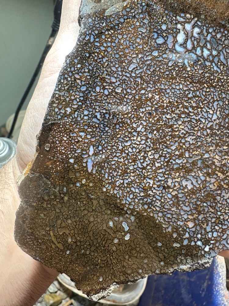 Dinosaur bone rough **hxtled slab.