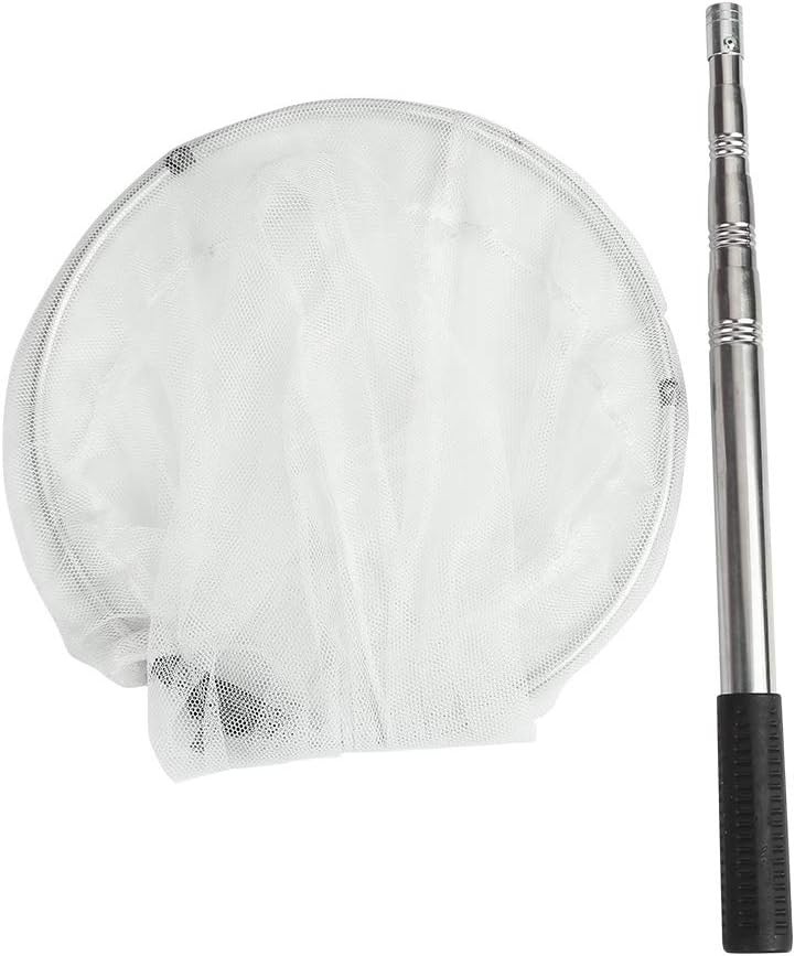 Professional Insect & Butterfly Net with Extendable Handle