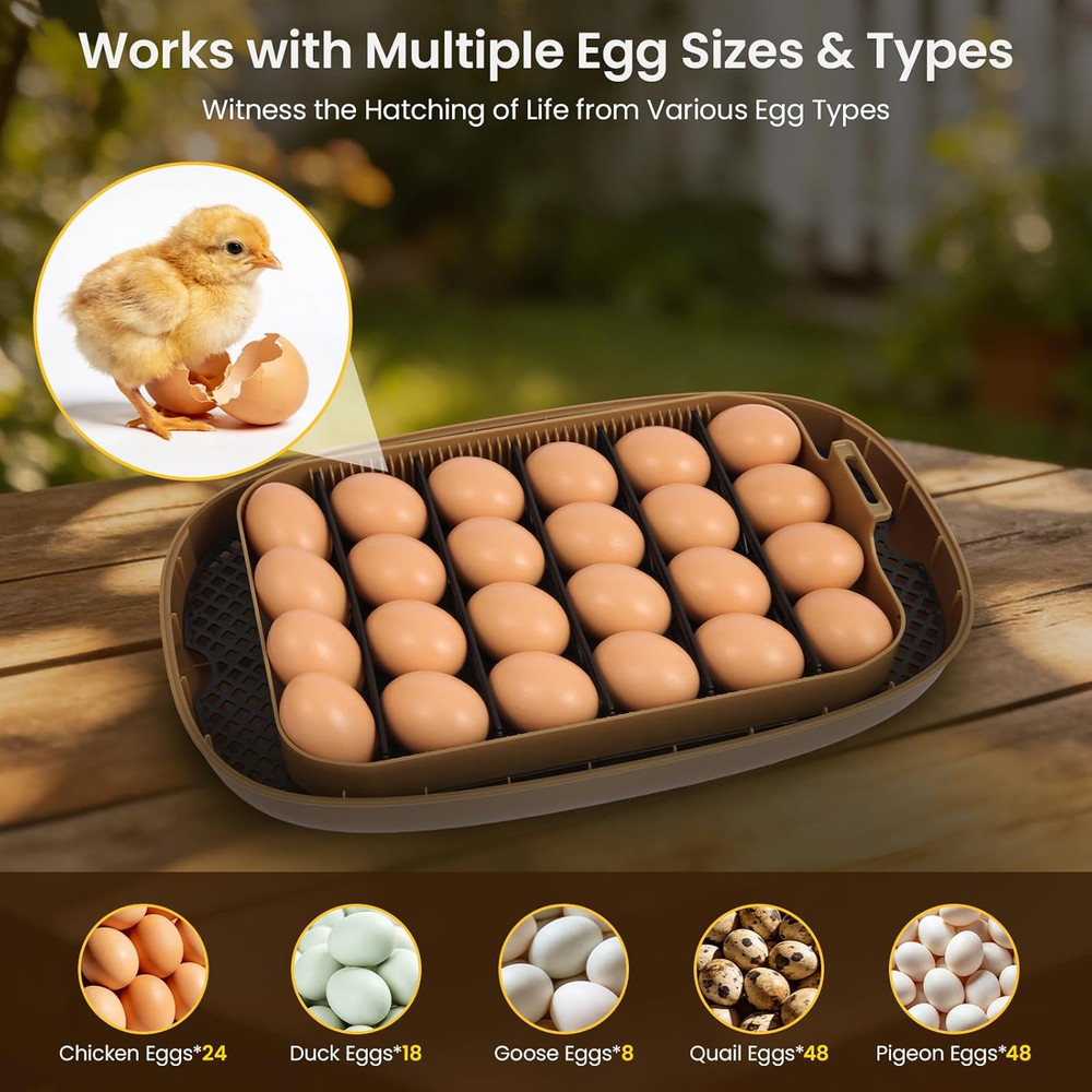 24-Egg Incubator: Auto Egg Turner, Precise Temp Control, Auto Water Refill, Cand
