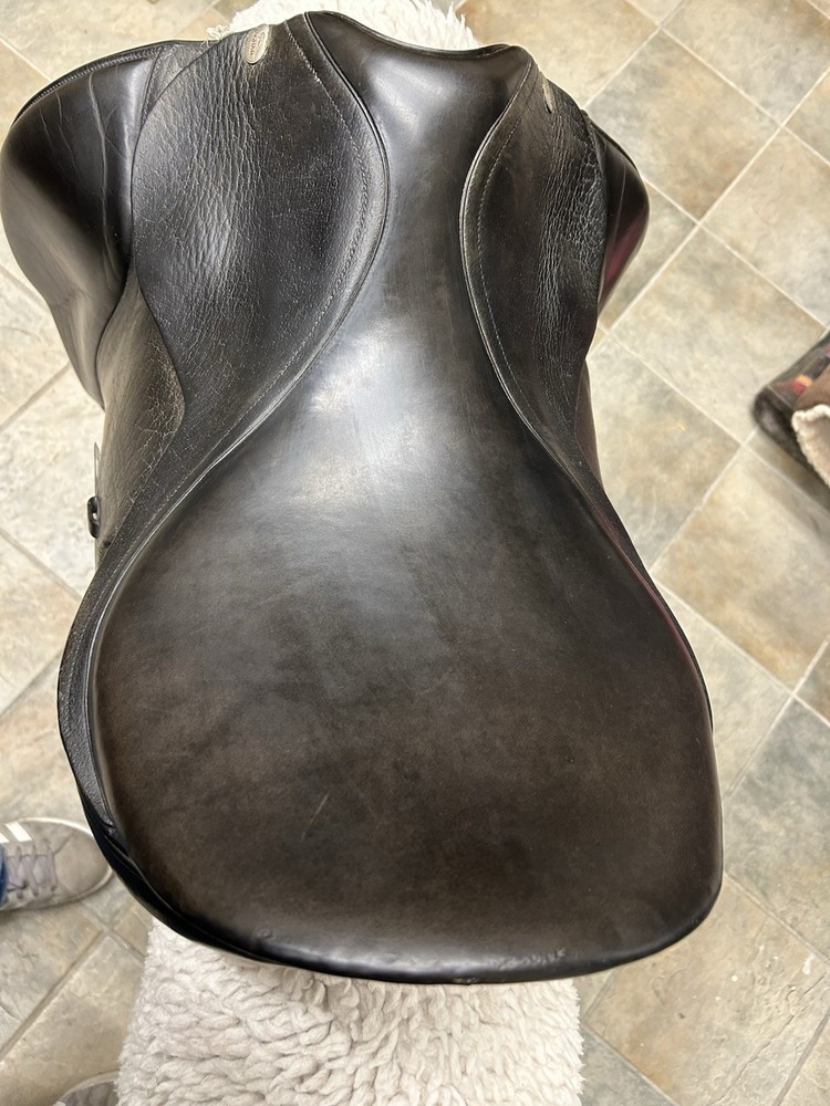 Jaguar Harry Dobbs 17.5 Reg Tree