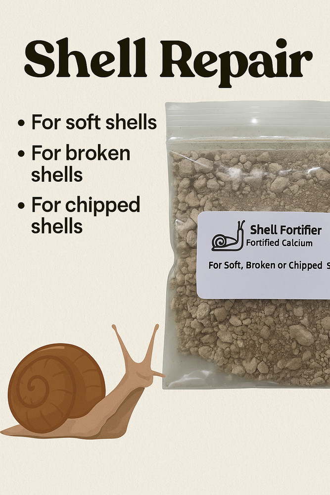 Snail Shell Repair, Broken, Chipped, Soft Shell