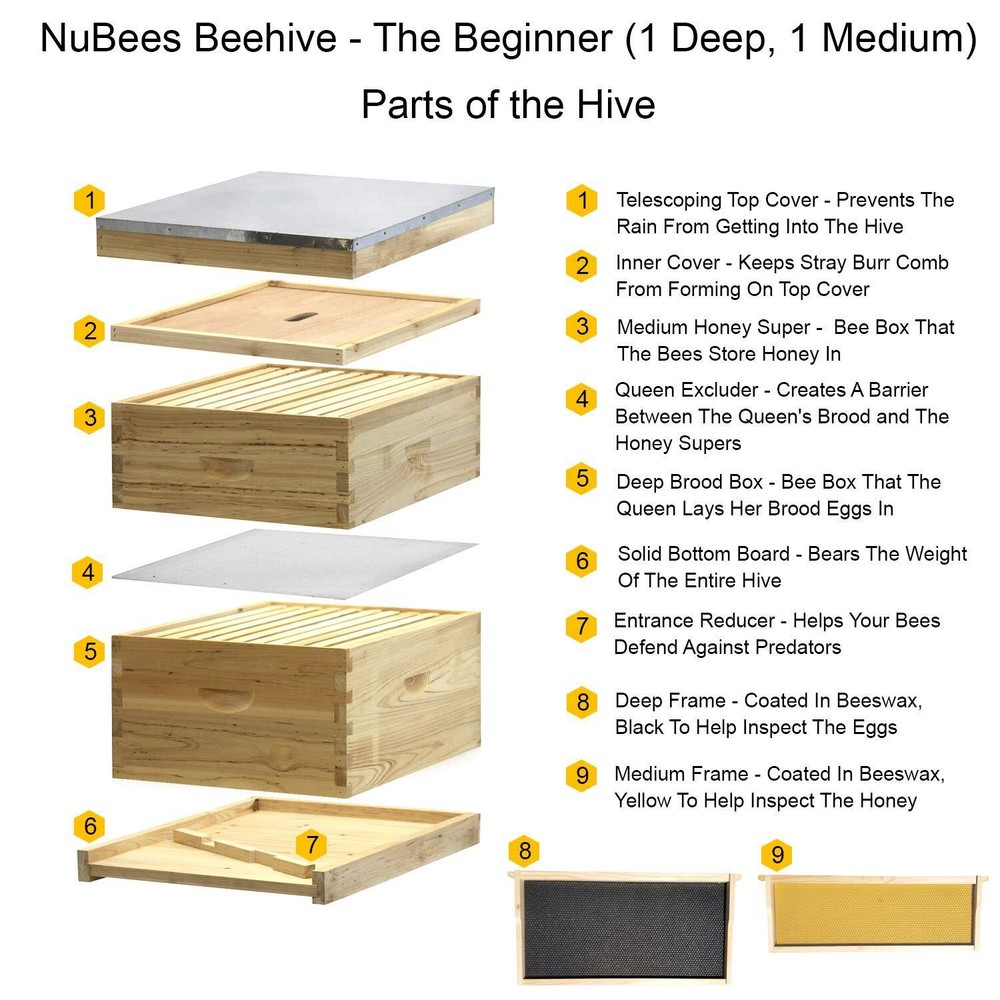 NuBee 10 Frame Complete Beehive Kit – Unassembled (1 Deep + 1 Medium Boxes) with