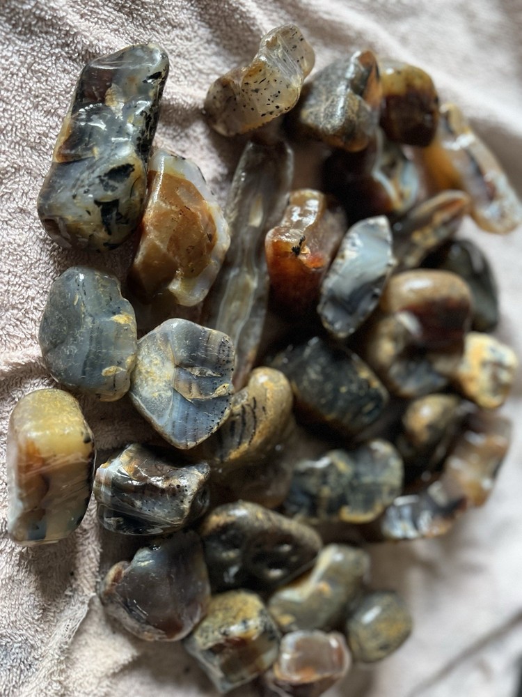 10 Lbs Rough Montana Agate (49)