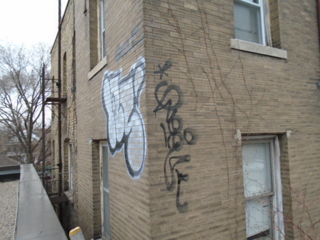 GRAFFITI REMOVER ELEPHANT SNOT 1 GALLON GRAFFITI SOLUTIONS