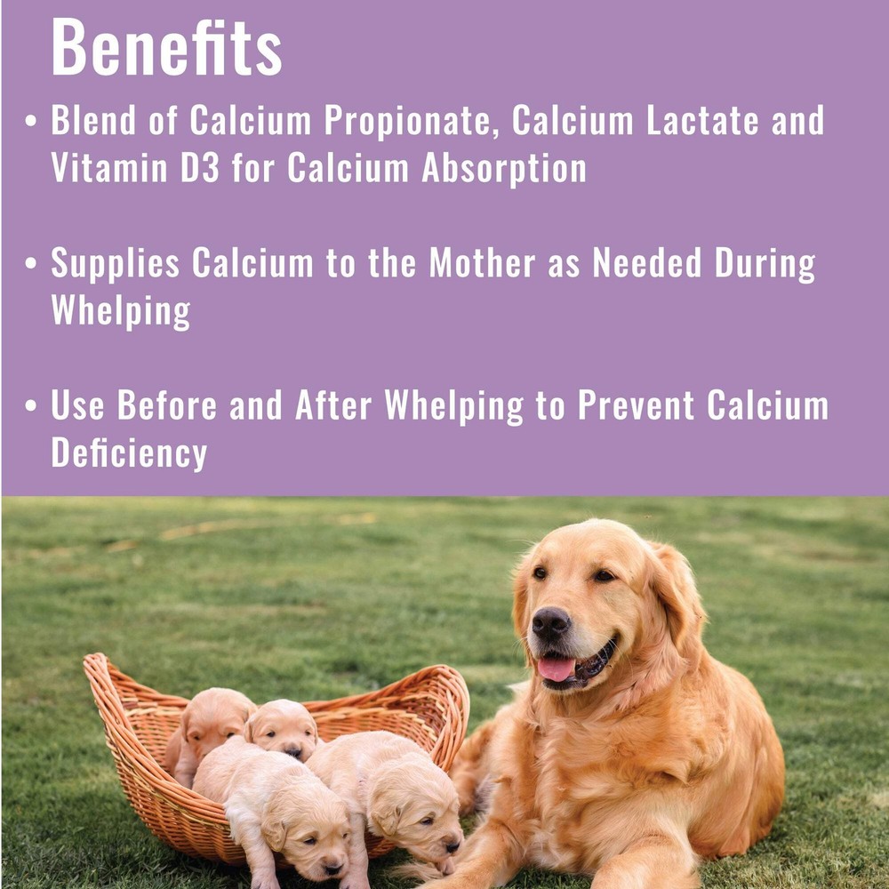 Dogzymes Canine Whelping Calcium Paste