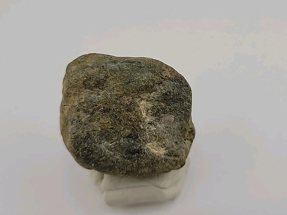 Real Permineralized Dinosaur Half Egg Embro Uv Reactive