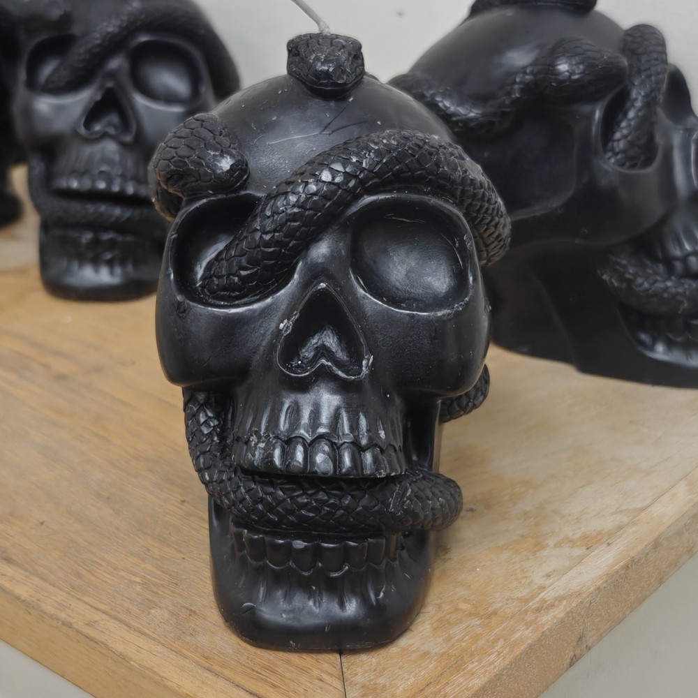 5.1'' Skull and Snake Candle Black - Threshold Target
